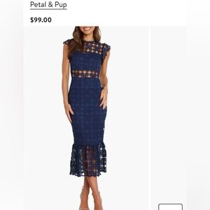 Petal & Pup Midnight Blue Lace Midi Dress